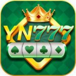 Yn77 Android